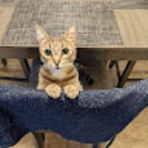 Meet your Posher, Juan